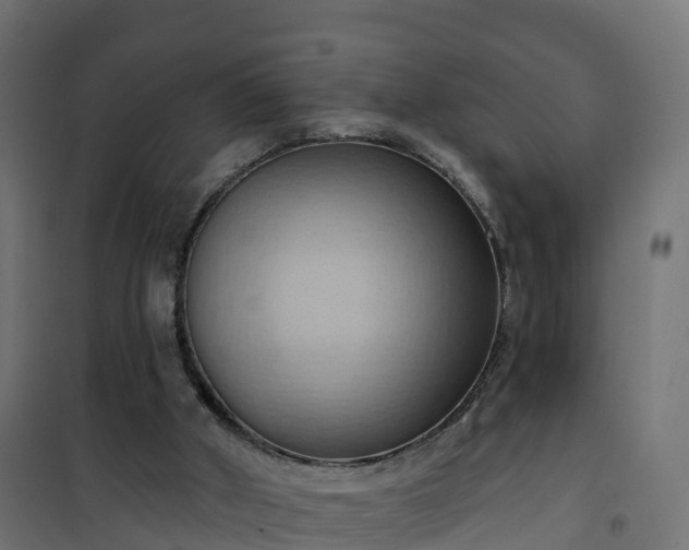 X0000101210010200807071350