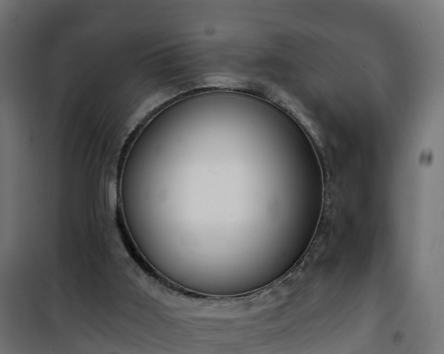 X0000101210011200807071350