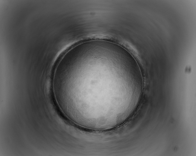 X0000101210012200807071350