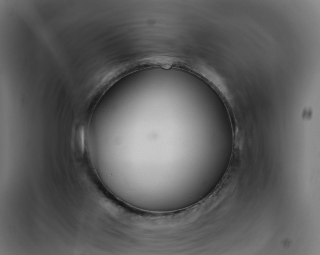 X0000101210013200807071349