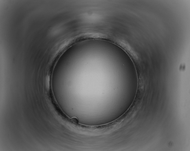 X0000101210014200807071349