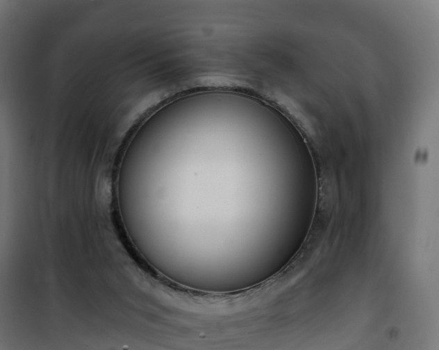 X0000101210015200807071349