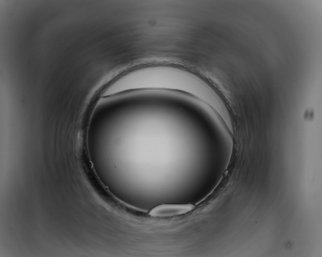 X0000101210016200807071349