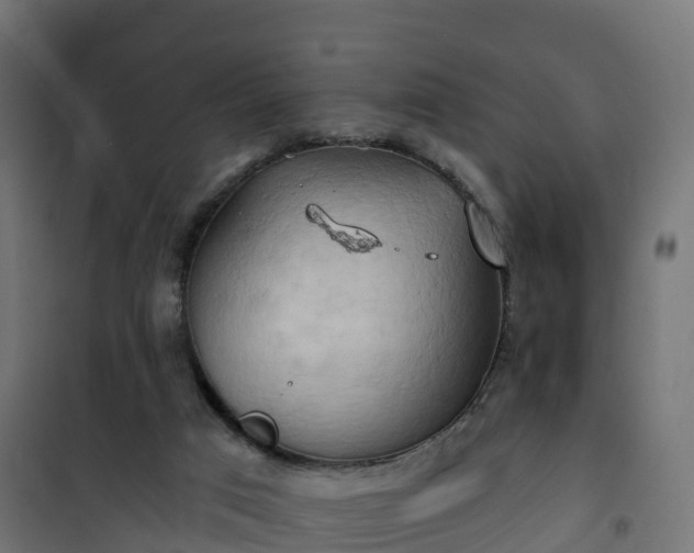 X0000101210017200807071349