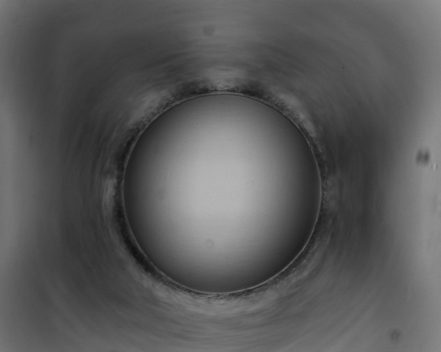 X0000101210018200807071349