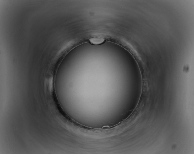 X0000101210019200807071349