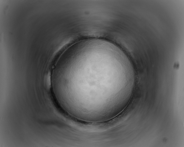 X0000101210020200807071349