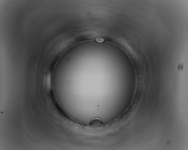 X0000101210022200807071349