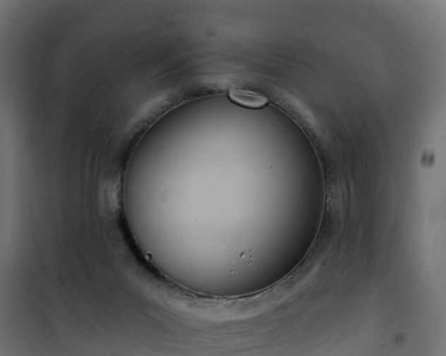 X0000101210023200807071349