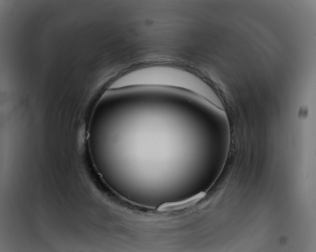 X0000101210024200807071349