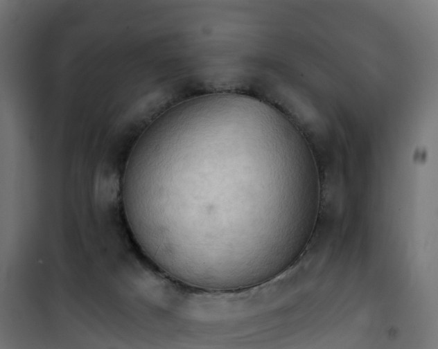 X0000101210025200807071349