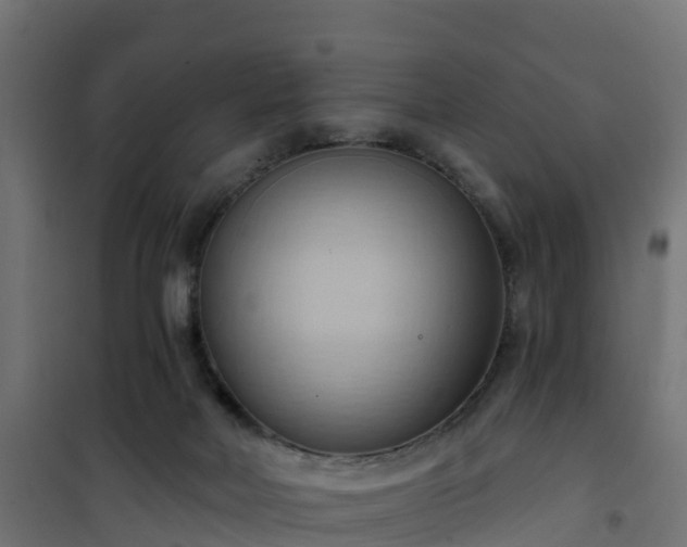 X0000101210026200807071349