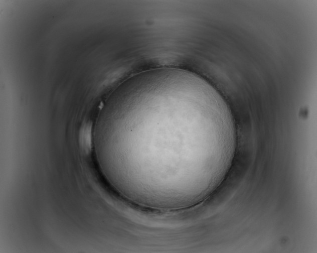 X0000101210028200807071349