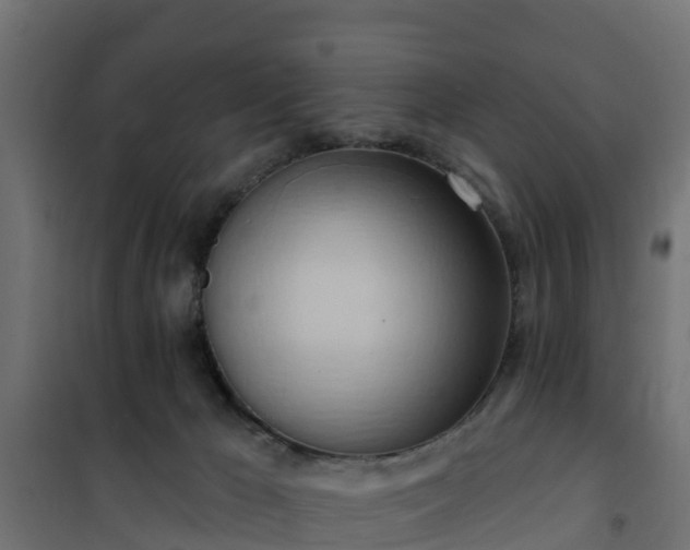 X0000101210029200807071349