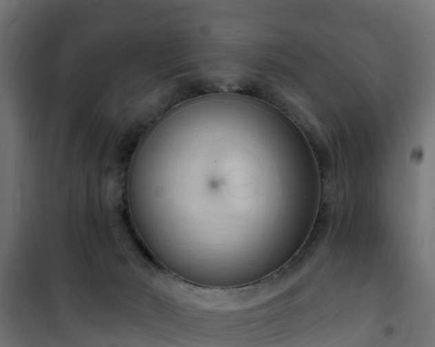 X0000101210030200807071349