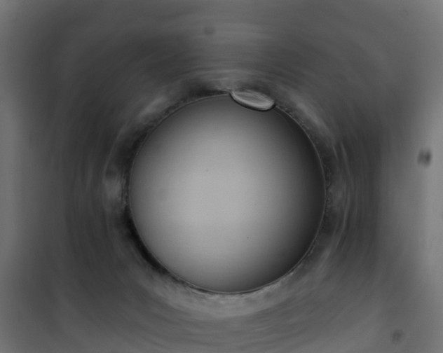 X0000101210031200807071349