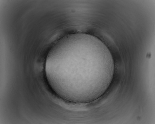 X0000101210032200807071349