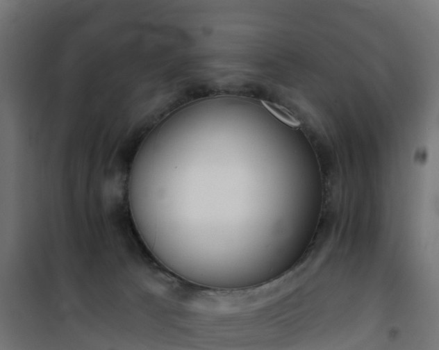 X0000101210033200807071349