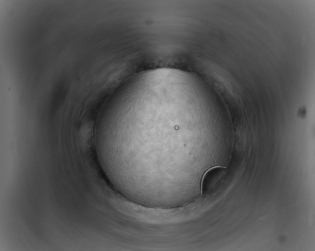 X0000101210034200807071349