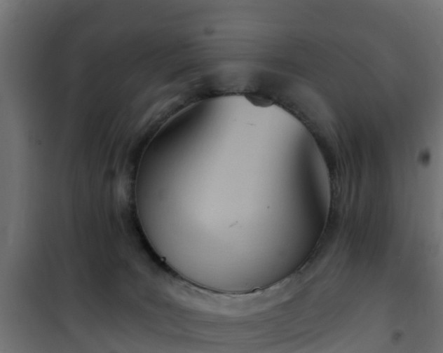 X0000101210035200807071349