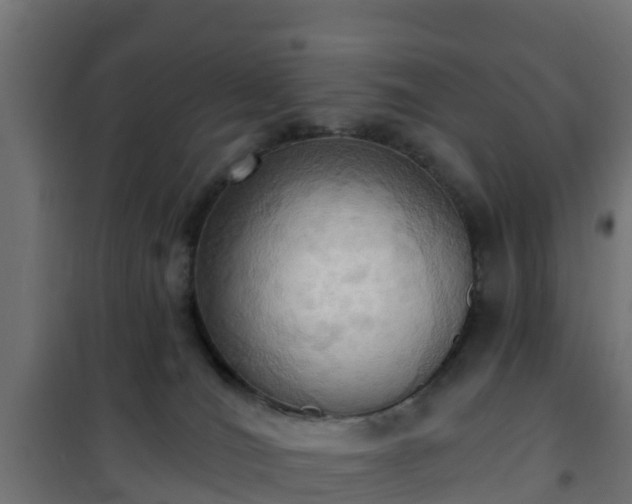 X0000101210036200807071349