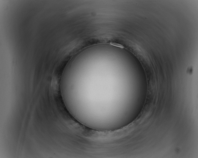 X0000101210037200807071349