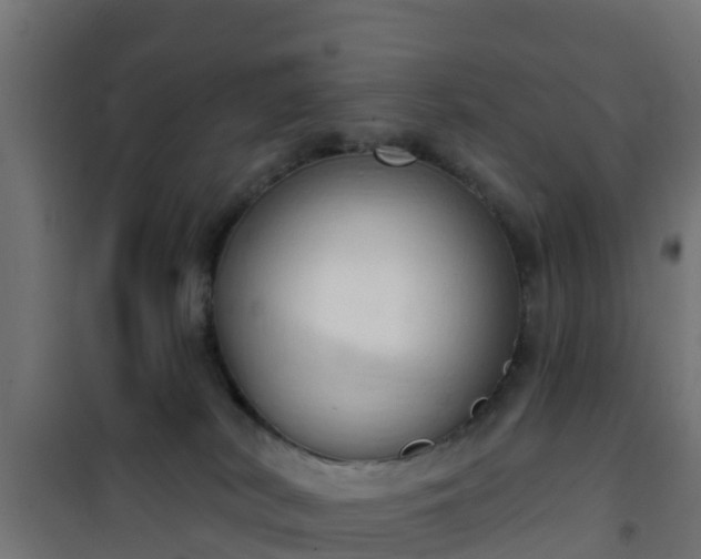 X0000101210038200807071349