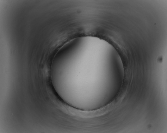 X0000101210039200807071349