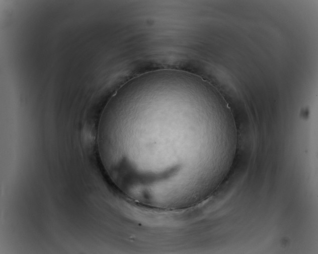 X0000101210040200807071349