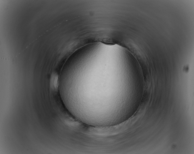 X0000101210041200807071349