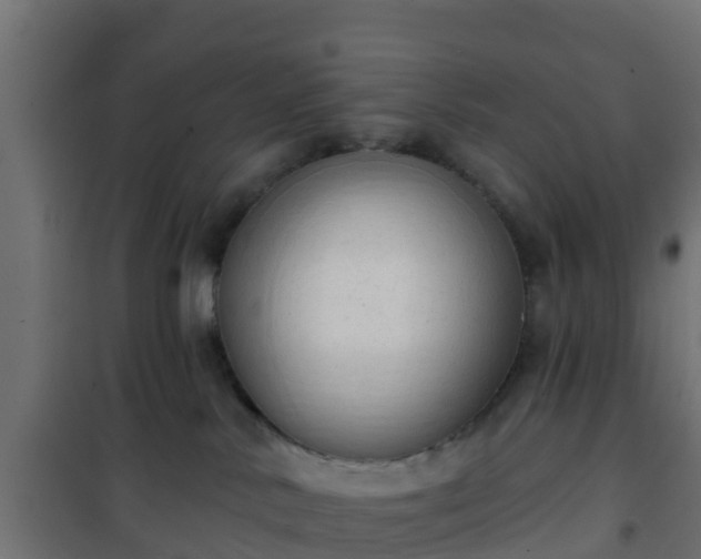 X0000101210042200807071349