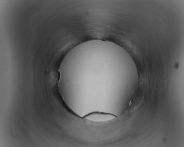 X0000101210043200807071349