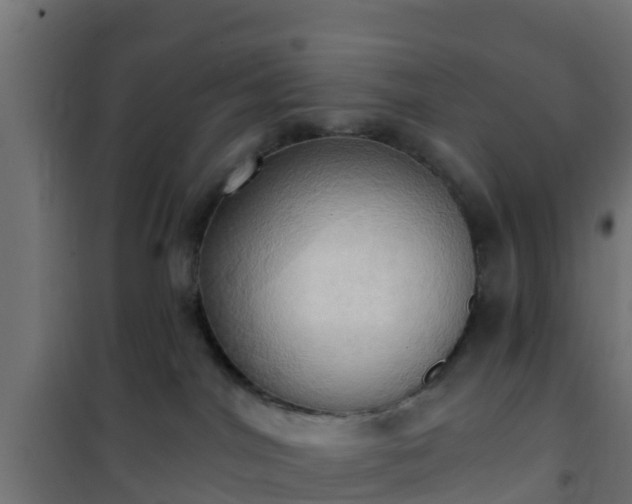 X0000101210044200807071349