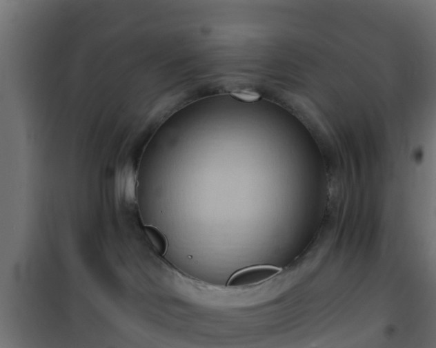 X0000101210046200807071349