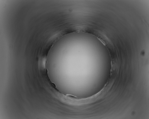 X0000101210047200807071349