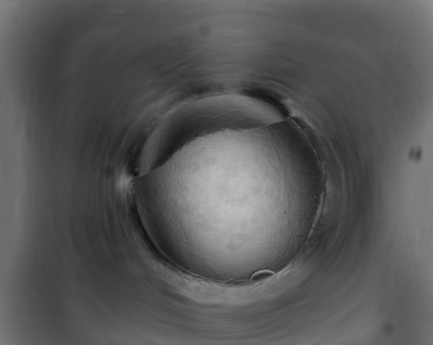 X0000101210048200807071349