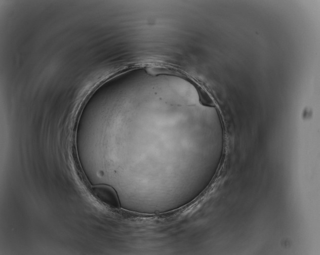 X0000101210049200807071348