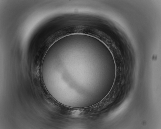 X0000101210050200807071348