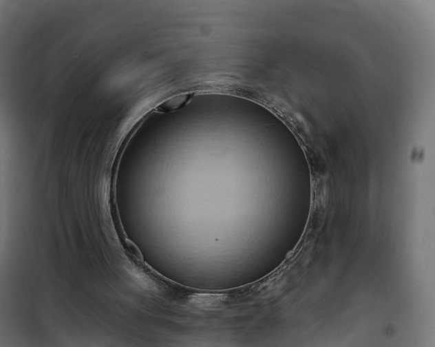 X0000101210051200807071348