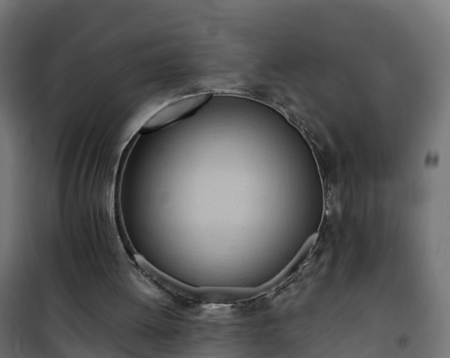 X0000101210052200807071348