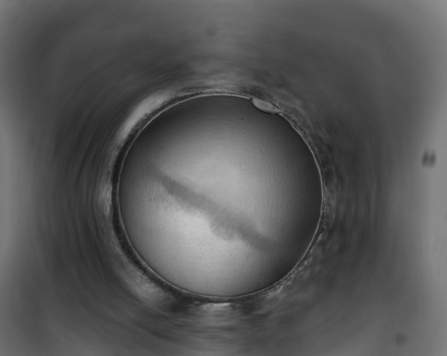 X0000101210054200807071348