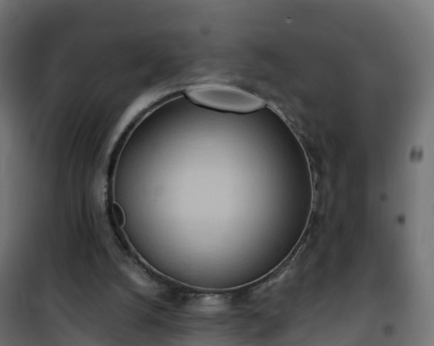 X0000101210056200807071348