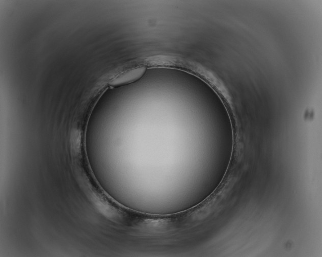 X0000101210057200807071348