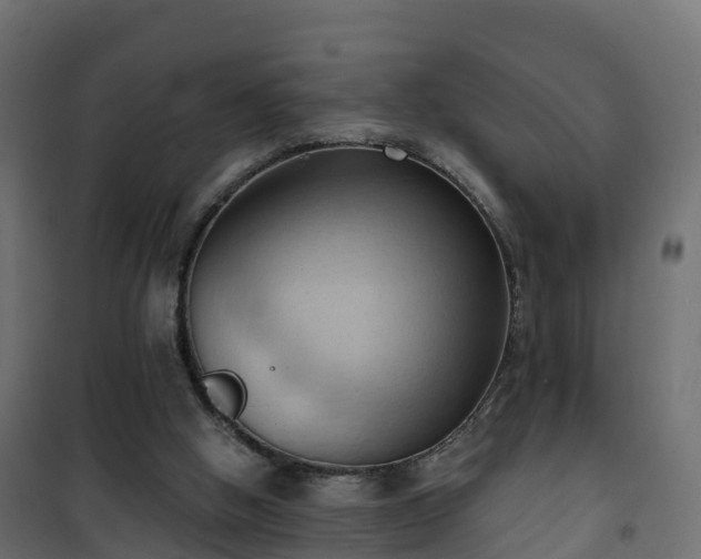 X0000101210058200807071348