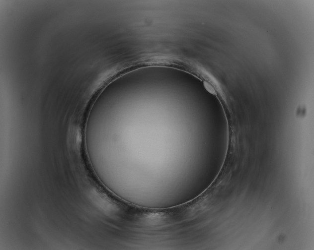 X0000101210059200807071348