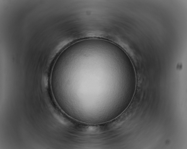 X0000101210060200807071348