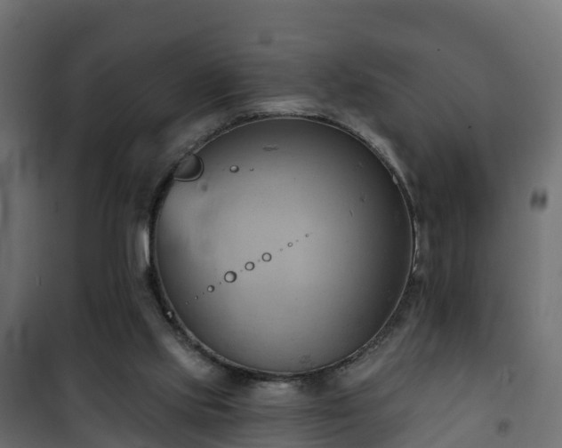 X0000101210061200807071348