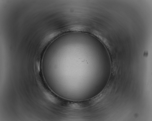 X0000101210062200807071348