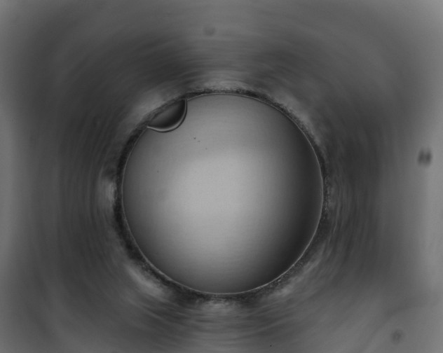 X0000101210063200807071348