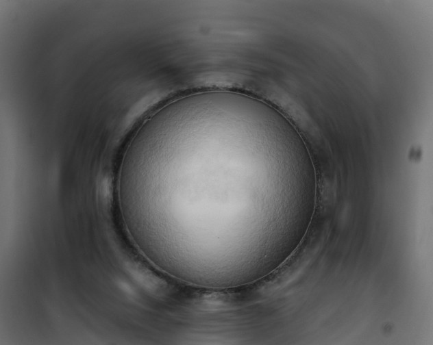 X0000101210064200807071348